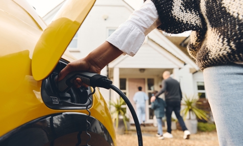 Shutterstock Slim Laden